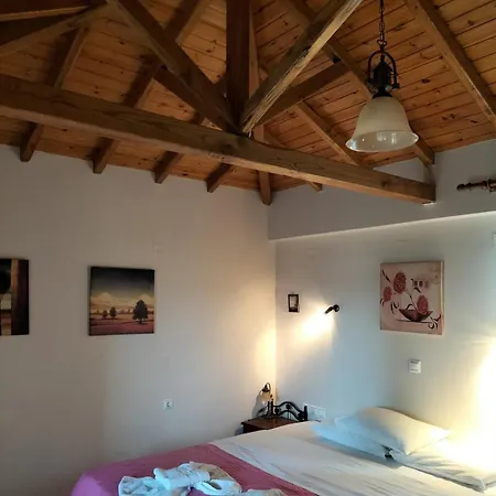 Steni Vala *