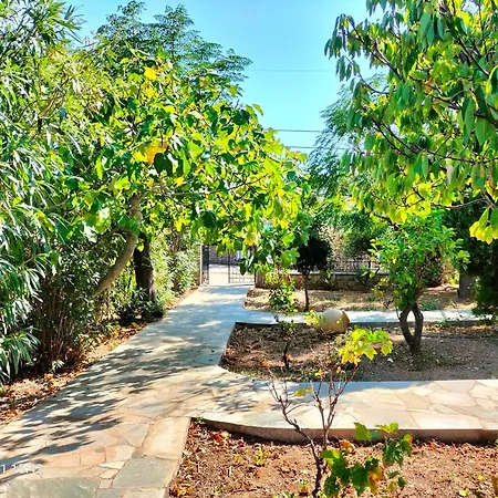 Steni Vala Holiday home *